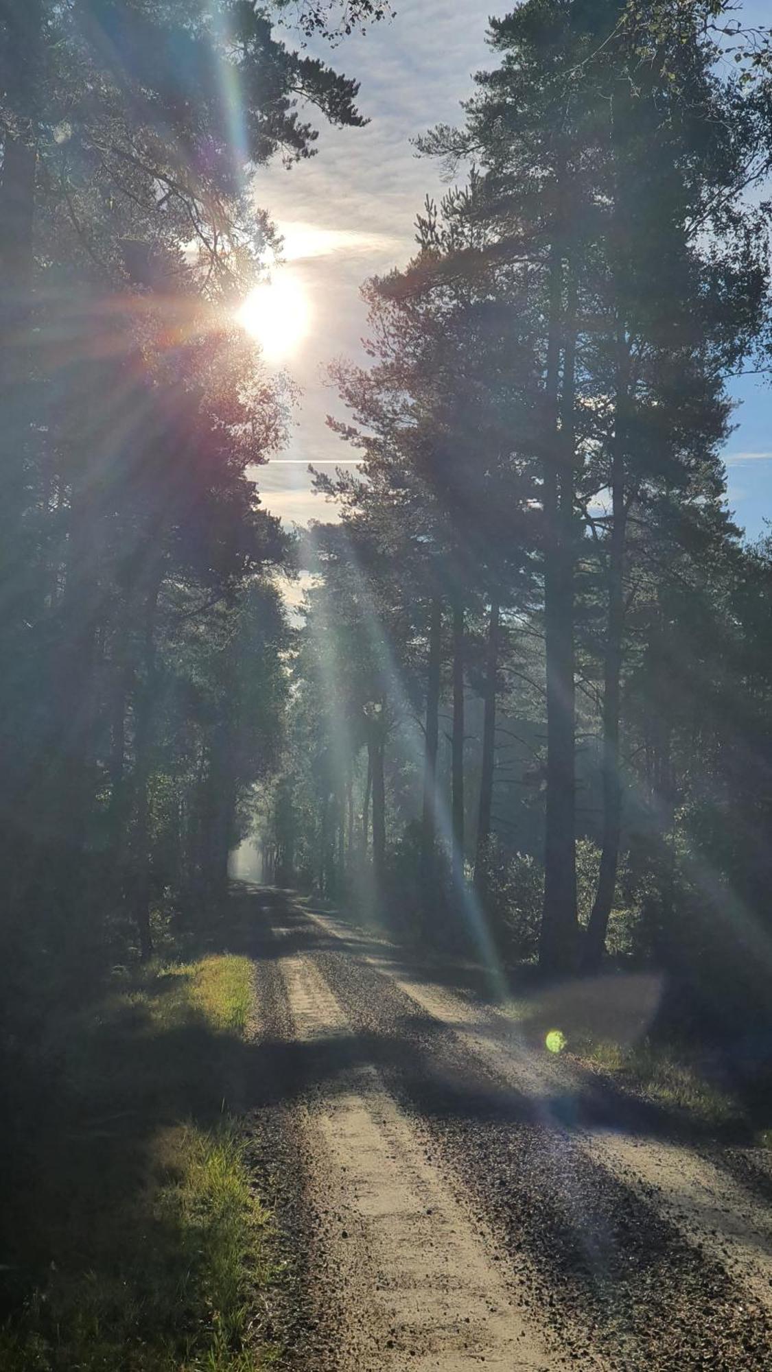Soedra Ljunga Vandrarhem Ljungby  Bagian luar foto
